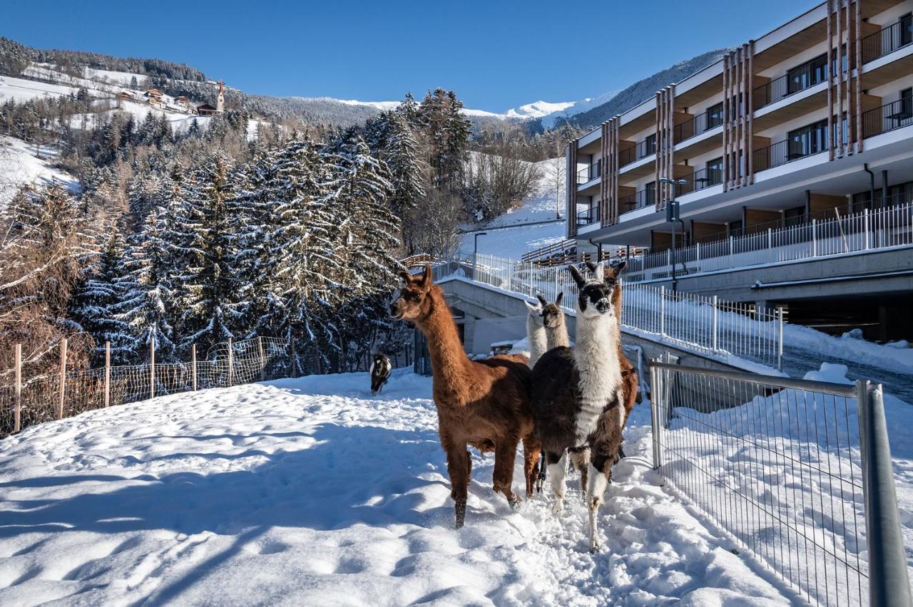 Hotel Torgglerhof 布列瑟农 外观 照片