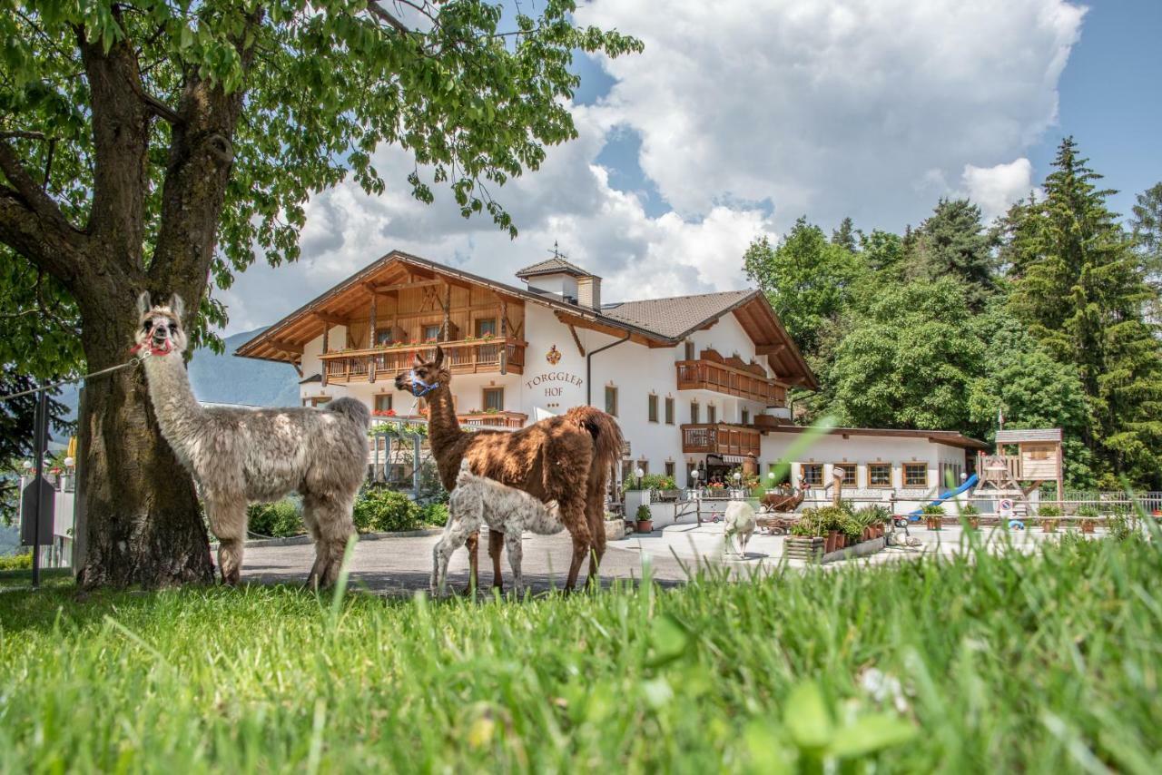 Hotel Torgglerhof 布列瑟农 外观 照片